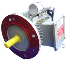 Single Phase Flange Type Motor in MS Body